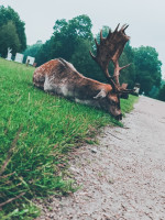 /album/fotogalerie/psx-20230911-184842-jpg/