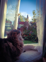 /album/fotogalerie/psx-20241106-230605-jpg/